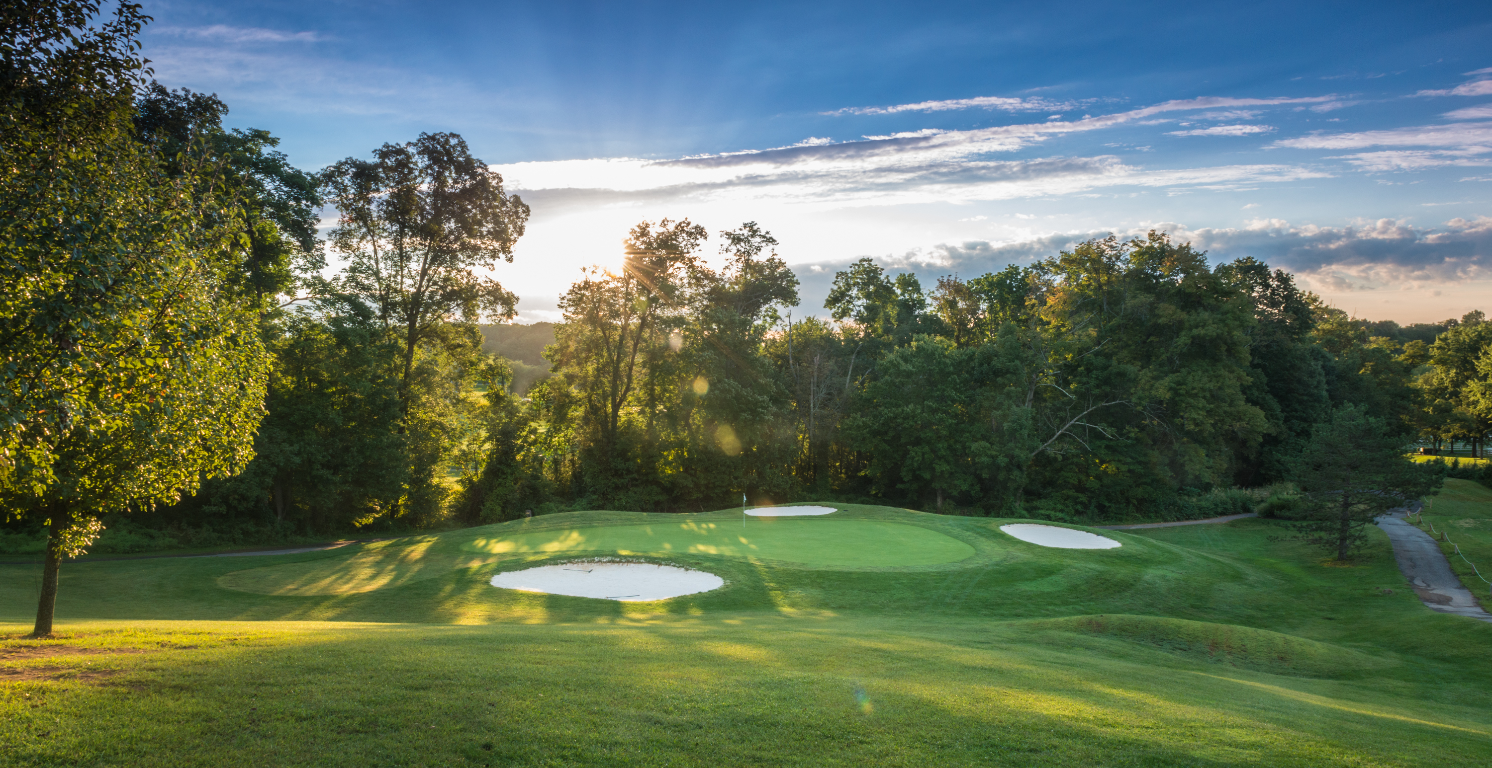 view of golf course green