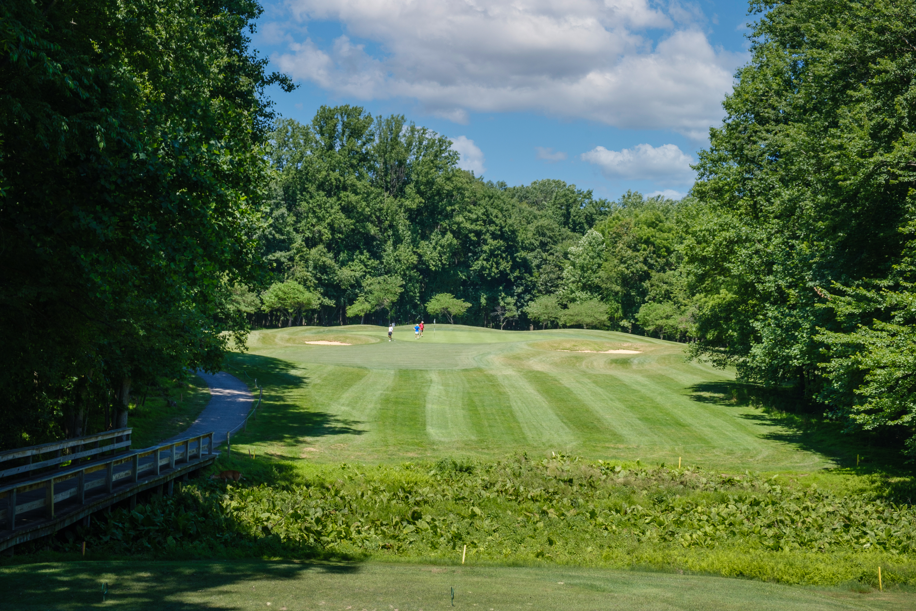 view of golf course green