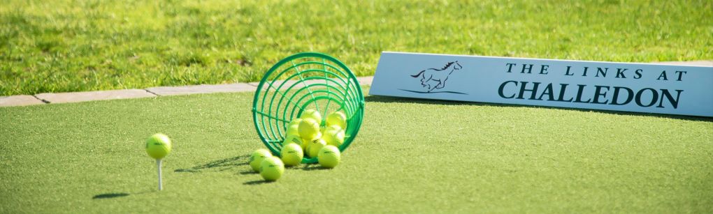 basket of golf balls at the driving range