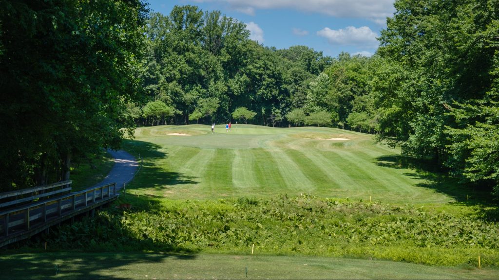 view of golf course green